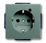 Busch-Jaeger 2310EUGL/VA-803-11 Busch-Protector&reg; SCHUKO&reg; Steckdosen-Einsatz mit