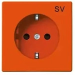 Busch-Jaeger 20 EUC-14-82 SCHUKO&reg; Steckdosen-Einsatz mit Aufdruck