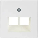 Berker 146909 Z-Platte UAE 2fach F /CT pw