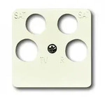 Busch-Jaeger 1743/10-04-212 Zentralscheibe 50 x 50 mm