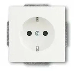 Busch-Jaeger 2300 EUCB-884 SCHUKO&reg; Steckdosen-Einsatz
