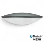 STEINEL L 825 SC Au&szlig;enwandlampe in Anthrazit mit Sensor & Bluetooth
