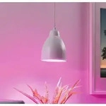 Pflanzen Pendelleuchte Neordic Hilla E27 aus wei&szlig; lackiertem Metall Paulmann 79764