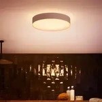 Philips Hue Enrave Deckenleuchte M inkl. Dimmschalter Wei&szlig; 38,1cm Tunable White