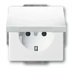 Busch-Jaeger 20 EUKBR-84 SCHUKO&reg; Steckdosen-Einsatz mit Klappdeckel und int. erh.