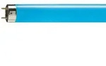Philips MASTER TL-D 18W Blue G13 60cm Leuchtstofflampe &ndash; Blaue