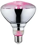 Paulmann 28737 Pflanzenlampe Plant PAR38 E27 6,5W f&uuml;r besseres Pflanzenwachstum