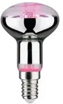 Paulmann 28734 LED Reflektor Plant R50 E14 6.5W