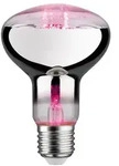 LED Plant R80 Pflanzen Reflektor Grow Green Edition E27 Paulmann 28733