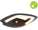 Paulmann 94839 LED Au&szlig;enwandleuchte Akena Bewegungsmelder insektenfreundlich IP44