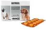 Gastrosel 100 Tabletten Unterst&uuml;tzung der Verdauung f&uuml;r Hunde Katzen Selectavet