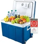 TZS First Austria - K&uuml;hlbox 45L elektrisch 12V 230V Anschluss f&uuml;r Auto & Steckdose