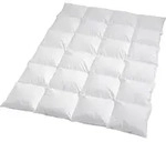 Traumschlaf Daunendecke Arktis warm, F&uuml;llung: 90% Daunen, 10% Federn 155x220 cm -