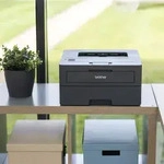 BROTHER HL-L2445DW Printer Mono B/W - Schwarz