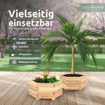 holz4home&reg; Outdoor Pflanzk&uuml;bel XL I 6-Eckig aus Tannenholz inkl....