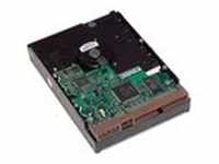 HP 1 TB SATA 6 Gbit/s 7200-Festplatte - 3.5 Zoll - 1000 GB - 7200 RPM