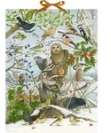 Sound-Adventskalender - Unsere V&ouml;gel im Winter