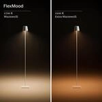 SIGOR Akku-Stehleuchte LED Nuindie 120cm silberfarben rund 2,2W FlexMood 2200K/2700K