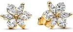 Pandora Ohrstecker Herbarium Cluster 262633C01 vergoldet - Gold