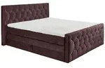 ED Lifestyle Cashfield 8 Boxspringbett Holzwerkstoff/Tonnentaschenfederkern H2