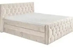 ED Lifestyle Cashfield 8 Boxspringbett Holzwerkstoff/Tonnentaschenfederkern H2