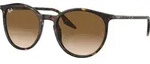 Ray-Ban RB2204 havanna / braun S