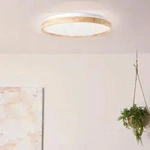 BRILLIANT moderne LED Deckenleuchte ALSON |&Oslash; 48 cm Deckenlampe mit Fernbedienung 