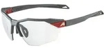 ALPINA TWIST SIX S HR V moon-grey matt moon-grey matt -