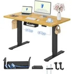FLEXISPOT E1 Pro Elektrisch H&ouml;henverstellbarer Schreibtisch 120x80cm 25MM EINTEILIGE