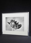 accent by nielsen Aluminium Bilderrahmen Accent, 21x29,7 cm (A4), Pearl Mercury