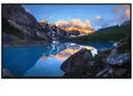 Dell UltraSharp U2424H - Ohne Standfu&szlig; - LED-Monitor - 61 cm (24") (23.8" sichtbar)