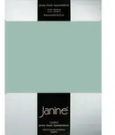 Janine Jersey Elastic Spannbetttuch 140x200 cm - 160x220 cm rauchgr&uuml;n - Gr&uuml;n