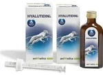 Livisto Hyalutidin DC 2x125 ml | Beweglichkeit bei Hunden & Katzen