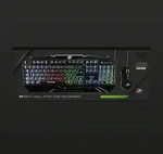 MediaRange MRGS102-UK, Kabelgebunden, USB, QWERTY, RGB-LED, Schwarz, Maus enthalten -