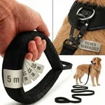HUND IST K&Ouml;NIG 5m Hunde Schleppleine mit Sicherheitskarabiner & gepolsterter