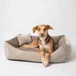 4L Textil MOLLY Kuscheliges Cord Hundebett kleine Hunde Hundekorb Cord Hundekissen