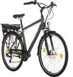 E-Citybike Herren 28'' Hollandia Zagon Grau 6 G&auml;nge Hollandia 187E - Grau