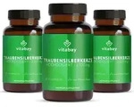 Vitabay Traubensilberkerze 2.500 mg &ndash; 360 vegane Kapseln &ndash; Cimicifuga Racemosa