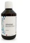 ZinZino BalanceOil+ AquaX Omega-3 &Ouml;l-Mix 300 ml