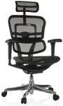 hjh OFFICE Luxus Chefsessel ERGOHUMAN ULTRA GEN2 Ergonomischer B&uuml;rostuhl mit