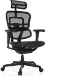 hjh OFFICE Luxus Chefsessel ERGOHUMAN SIGNATURE GEN2 Ergonomischer B&uuml;rostuhl mit