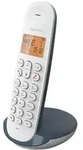Schnurloses Festnetztelefon - LOGICOM - DECT ILOA 150 SOLO - Schiefer - Ohne
