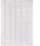 Paradies Daunendecke 135x200 cm Sommerdecke "Gabi 90" RDS G&auml;nsedaunen - Wei&szlig;