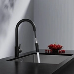 Rainsworth Wasserhahn K&uuml;che mit Brause Ausziehbar - Zwei Wasserstrahlarten,