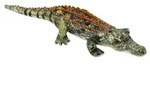 Nature Zoom|Die Spiegelburg Krokodil - Nature Zoom Wild