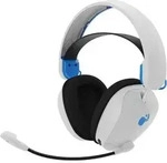 Kabelloses Bluetooth PDP-Headset und Dongle mit stummschaltbarem Mikrofon und 40