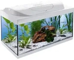Tetra Aquarium Starter Line LED 54 L wei&szlig;