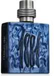 Cerruti 1881 Silver Night Eau De Parfum 100 ml (man)