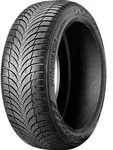 Roadstone WINGUARD SNOW G ( 195/55 R15 89H XL )