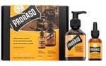 Proraso Wood And Spice Geschenkset Special Beard Care Set 30 ml + 200 ml